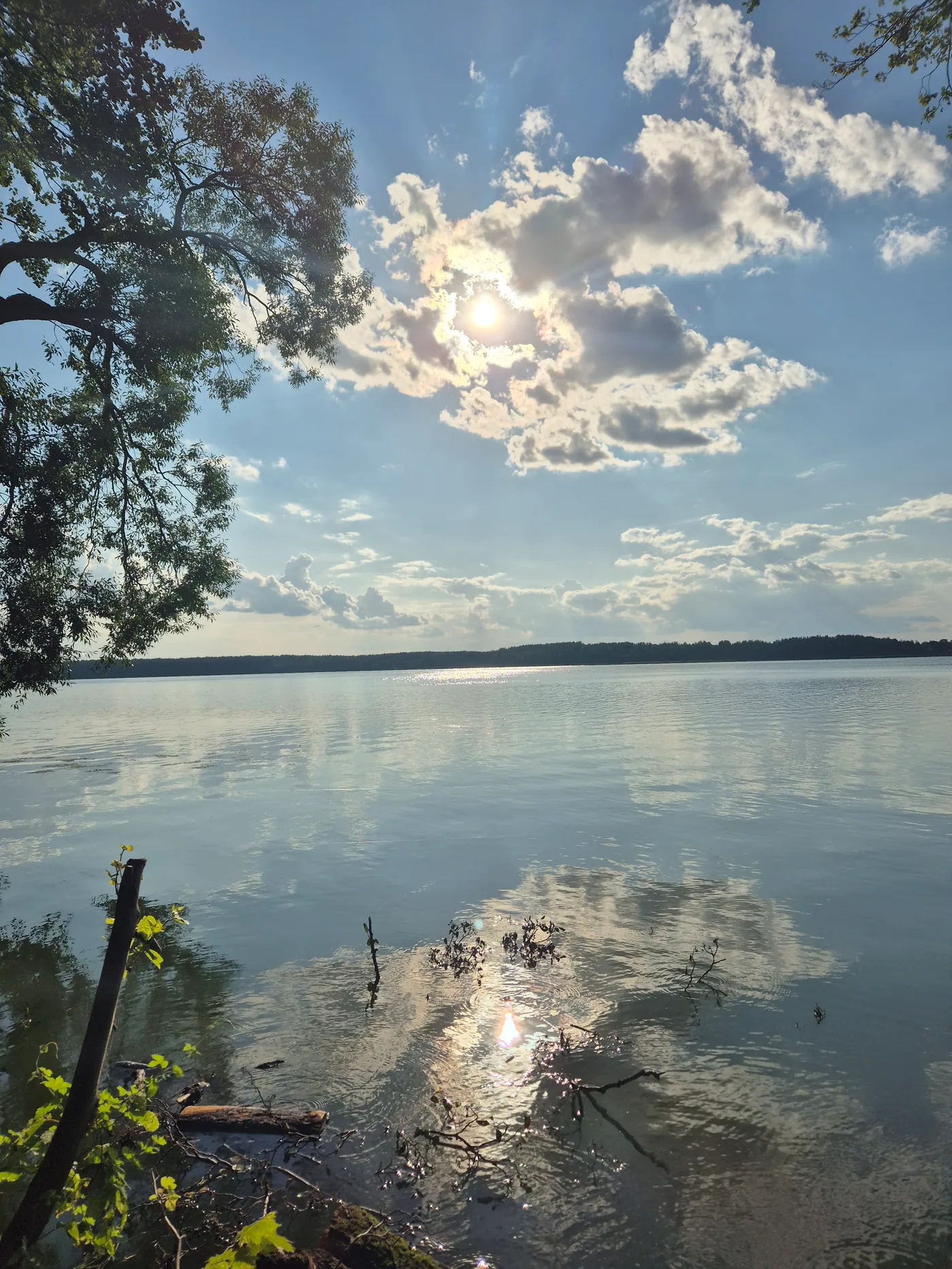 Clouds and sunlight reflected in calm water in the Bykhov region
