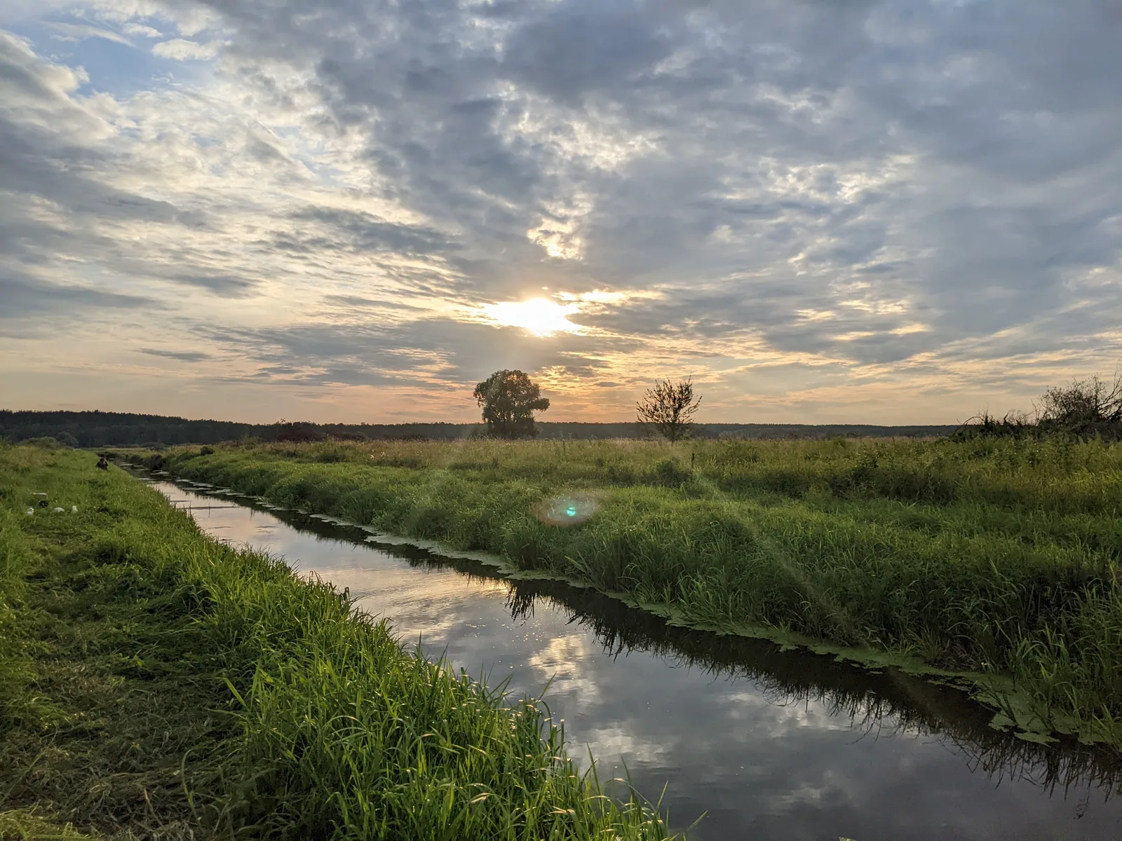 A narrow stream and green meadow beneath a summer sky in 2022