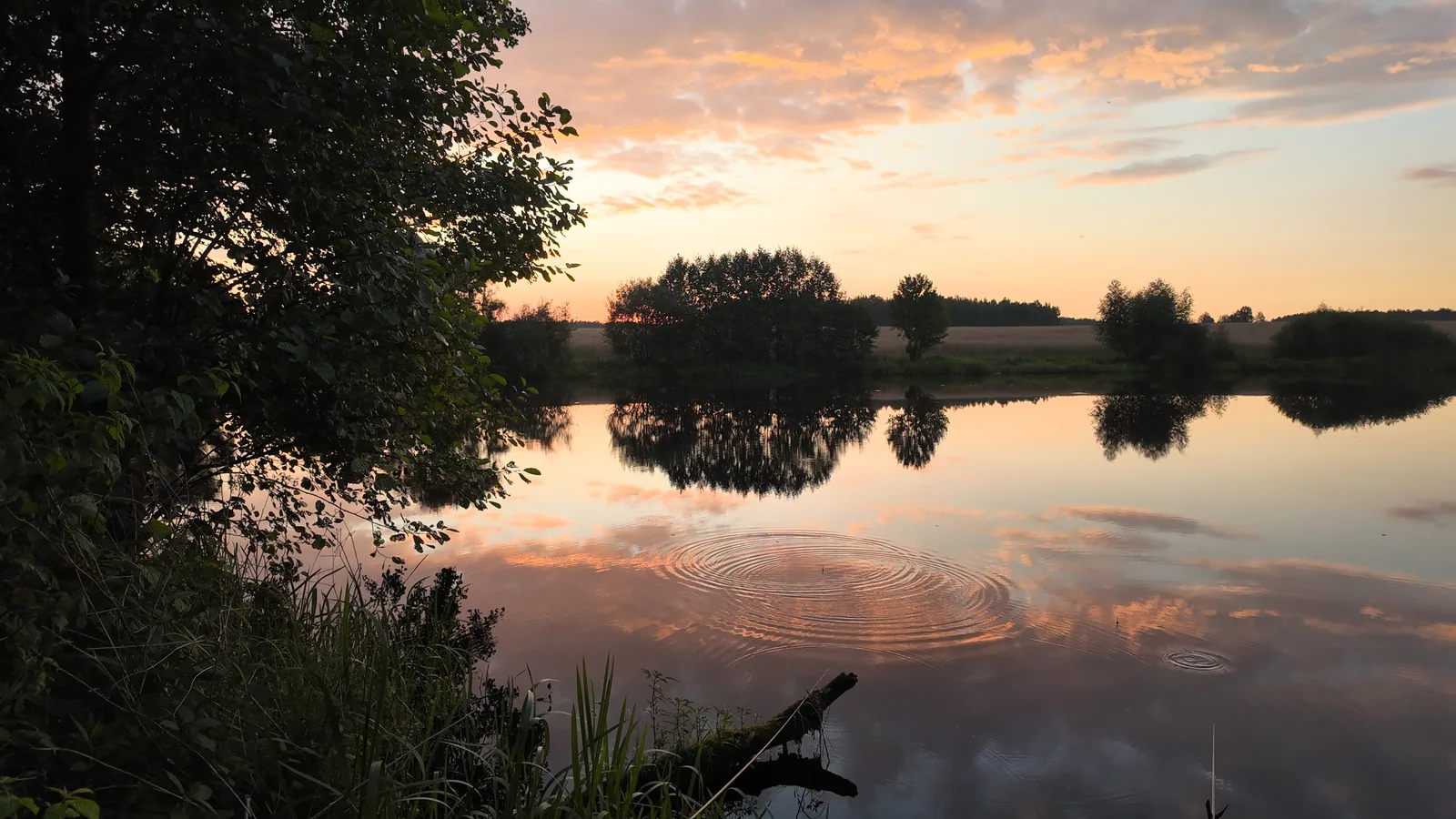 Warm evening light reflected in still water in 2025